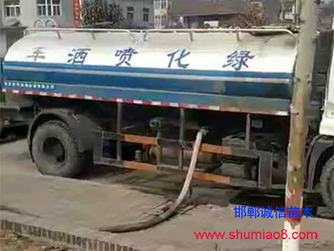 彭家寨鄉(xiāng)邯鄲路段樹苗澆水