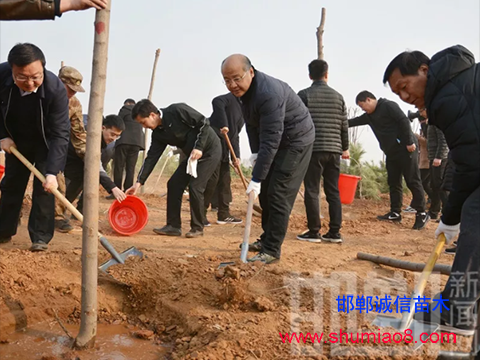 邯鄲市領(lǐng)導(dǎo)班子義務(wù)植樹